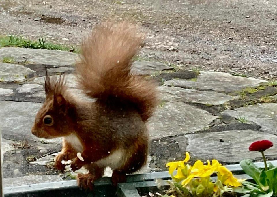 Crookabeck B&B Patterdale Dış mekan fotoğraf